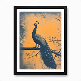 Vintage Orange & Navy Blue Peacock On A Tree Branch 1 Art Print