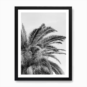 Black And White Palm Tree in Italy | Travel photography Art Print