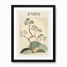 Juniper Tree Minimal Japandi Illustration 2 Poster Art Print