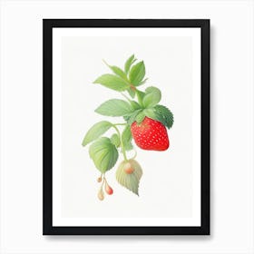 Strawberry Plant,, Fruit, Pastel Watercolour Art Print