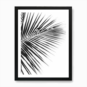 Black And White Palm Leaf Art Print