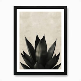 Black Agave Art Print