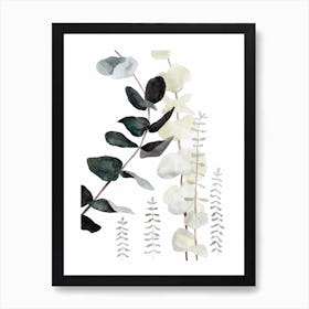 Botanical Illustration Plant Mix2 Art Print