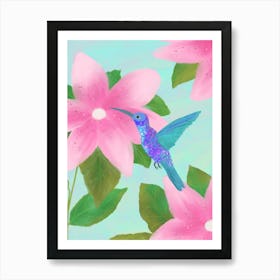 Hummingbird Pink Haven Art Print