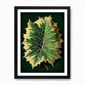 Sycamore Leaf Vintage Botanical 2 Art Print