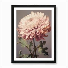 Floral Illustration Chrysanthemum 2 Art Print