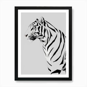 Tiger Canvas Print Art Print