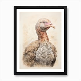 Vintage Bird Drawing Turkey 3 Art Print