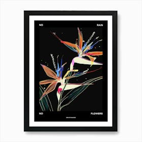 No Rain No Flowers Poster Bird Of Paradise 1 Art Print