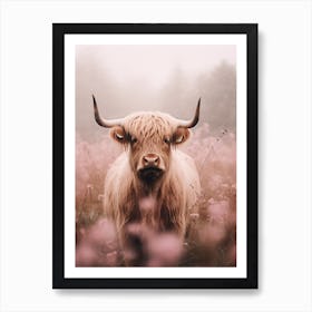 Pink Photography Of Highland Cow In The Rain 4 Art Print