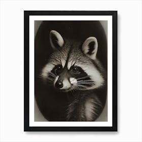 Raccoon Portrait Vintage Photography Art Print