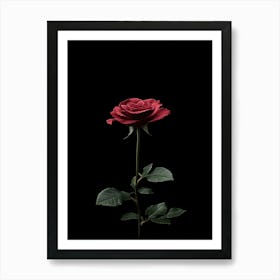 Single Red Rose On Black Background 19 Art Print