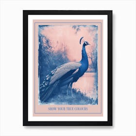 Peacock By The River Cyanotype Inspired 1 Poster Art Print