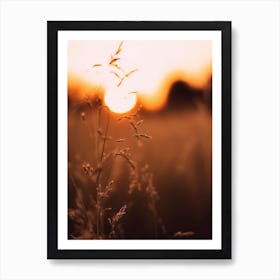 Golden Sunset Art Print