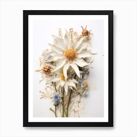 Pressed Flower Botanical Art Edelweiss 2 Art Print