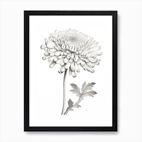 Dandelion Floral Wall Decor Moody Vintage Flower Print, Antique Botanical  Art, Farmhouse Flower Painting, Dark Flower Wall Art RA13 