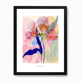 Colourful Flower Illustration Poster Sweet Pea 1 Art Print