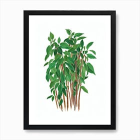 Polka Dot Plant (Hypoestes Phyllostachya) Watercolor Art Print