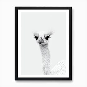 Emu B&W Pencil Drawing 3 Bird Art Print