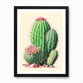 Notocactus Cactus Retro Drawing 2 Art Print