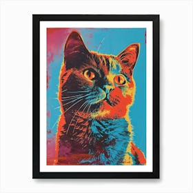 Polaroid Style Cat Portrait 1 Art Print