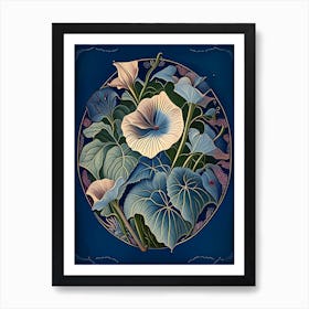 Morning Glory 1 Loral Botanical Vintage Poster Flower Art Print