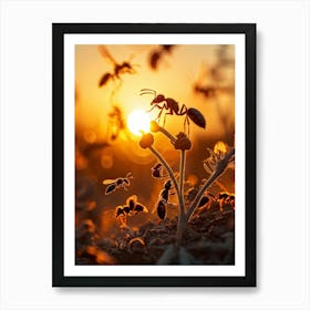 Ant Colony Collaboratively Foraging Under The Glowing Blaze Of A Setting Sun With Elongated Shadows (2) Art Print