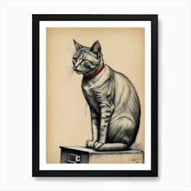 Cat Sitting On A Box Art Print