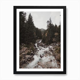 Rustic Forest Creek Art Print