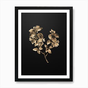 Gold Botanical Crossberry on Wrought Iron Black n.0540 Art Print