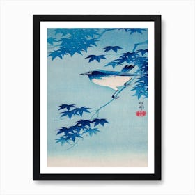 Robin On A Maple Branch (1935), Ohara Koson Art Print