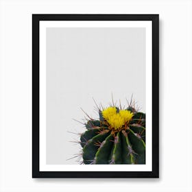 Cactus Flower Art Print