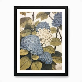 Ajisai Hydrangea 3 Vintage Botanical Woodblock Art Print