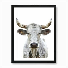 Longhorn Canvas Print 1 Art Print