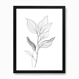 Leaves Of A Plant Art Print