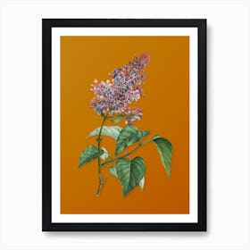 Vintage Common Pink Lilac Plant Botanical on Sunset Orange n.0338 Art Print