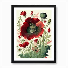 Poppy 2 Floral Botanical Vintage Poster Flower Art Print