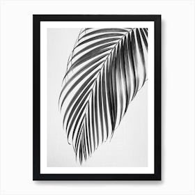 Palm Leaf - Black & White Art Print