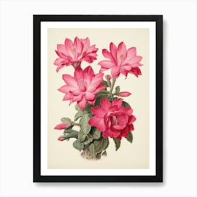 Vintage Cactus Illustration Easter Cactus 1 Art Print