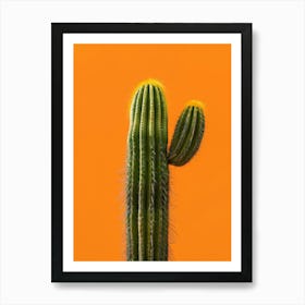 Cactus On Orange Background Art Print