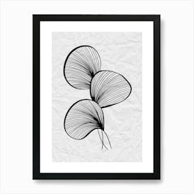 Leaves In Black And White Art Print