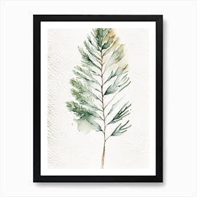 White Pine Leaf Minimalist Watercolour 1 Art Print