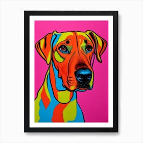 Redbone Coonhound Andy Warhol Style Dog Póster