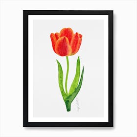 Tulip7 Affiche