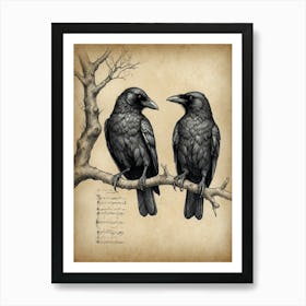 Crows On A Branch 1 Art Print