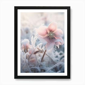 Frosty Botanical Hellebore 3 Art Print