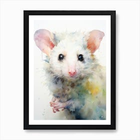 Light Watercolor Painting Of A Urban Possum 1 Art Print