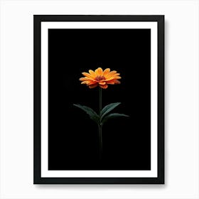 Single Orange Flower On Black Background 8 Art Print