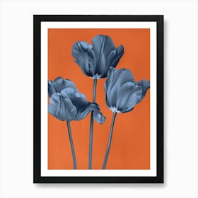 Blue Tulips 3 Art Print