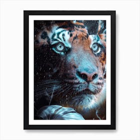 Blue Eyed Tiger In The Rain Art Print